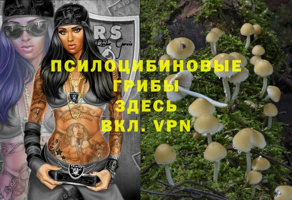 дурь Липки