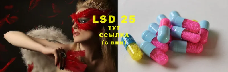 Лсд 25 экстази ecstasy  hydra онион  Нововоронеж  хочу наркоту 