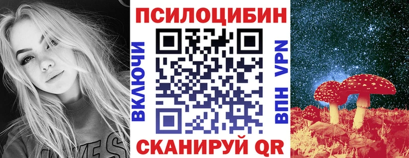 Галлюциногенные грибы Cubensis Нововоронеж