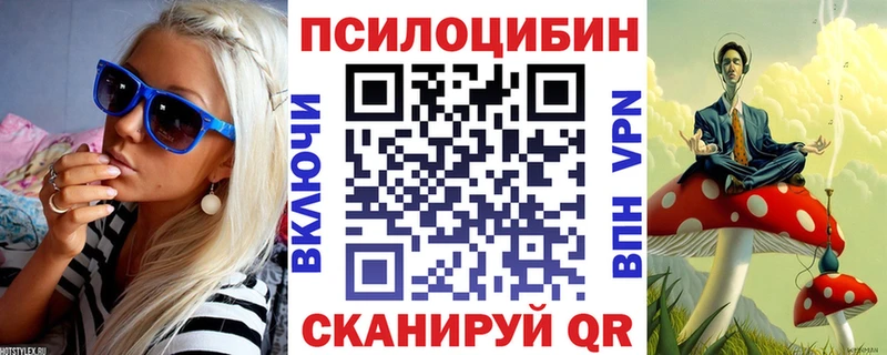 Галлюциногенные грибы Psilocybine cubensis  MEGA зеркало  Нововоронеж  купить наркотик 