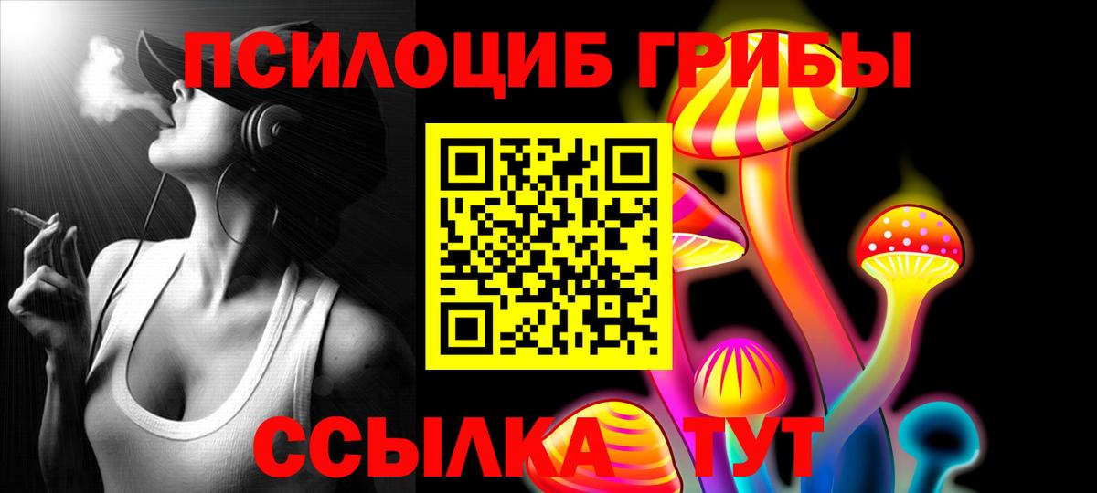 Псилоцибиновые грибы MAGIC MUSHROOMS  Вход с VPN  Нововоронеж 