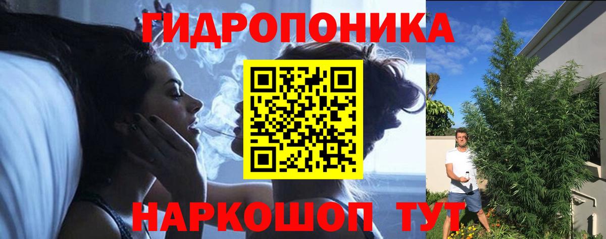 Конопля семена Нововоронеж